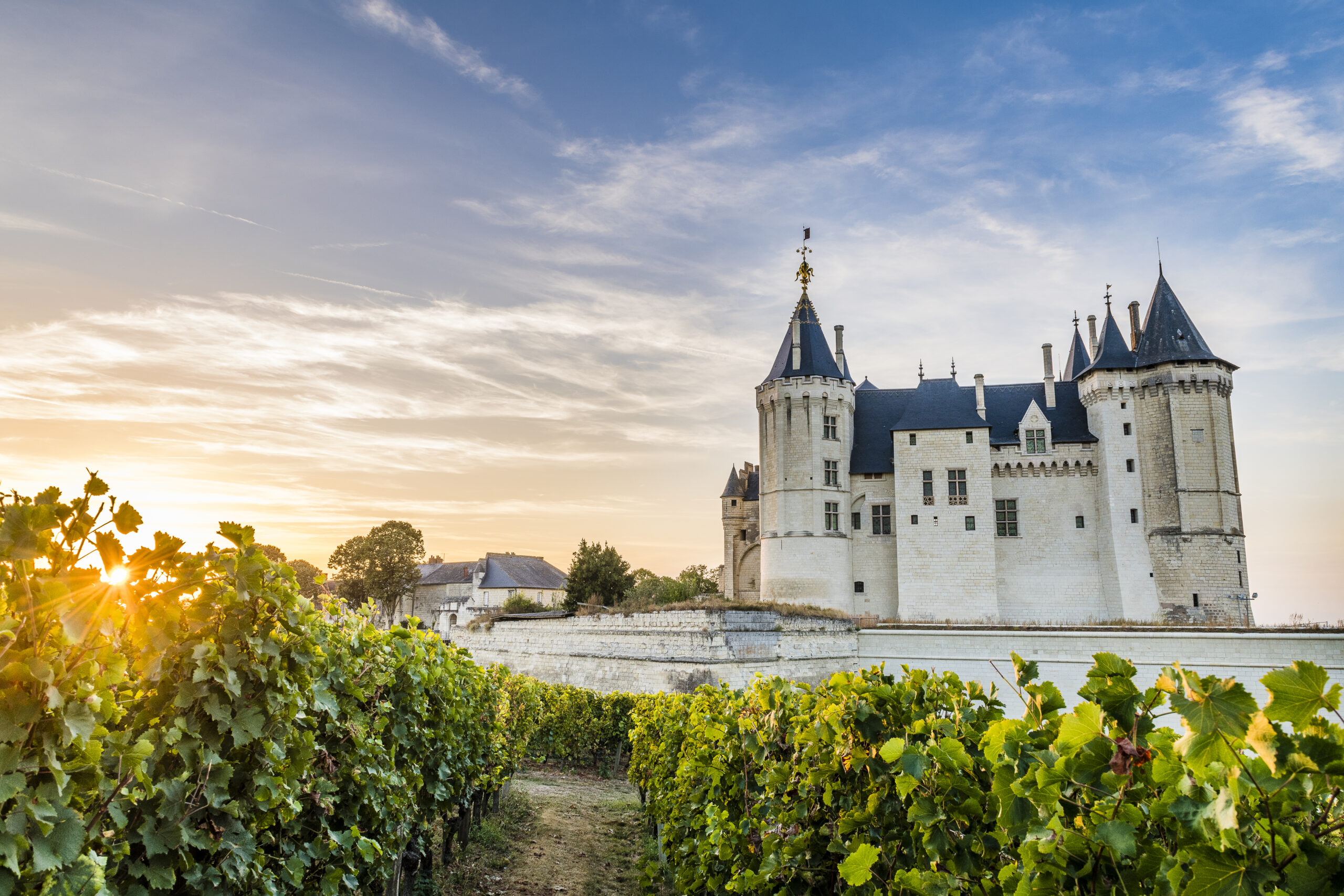 Les Caves de Saumur